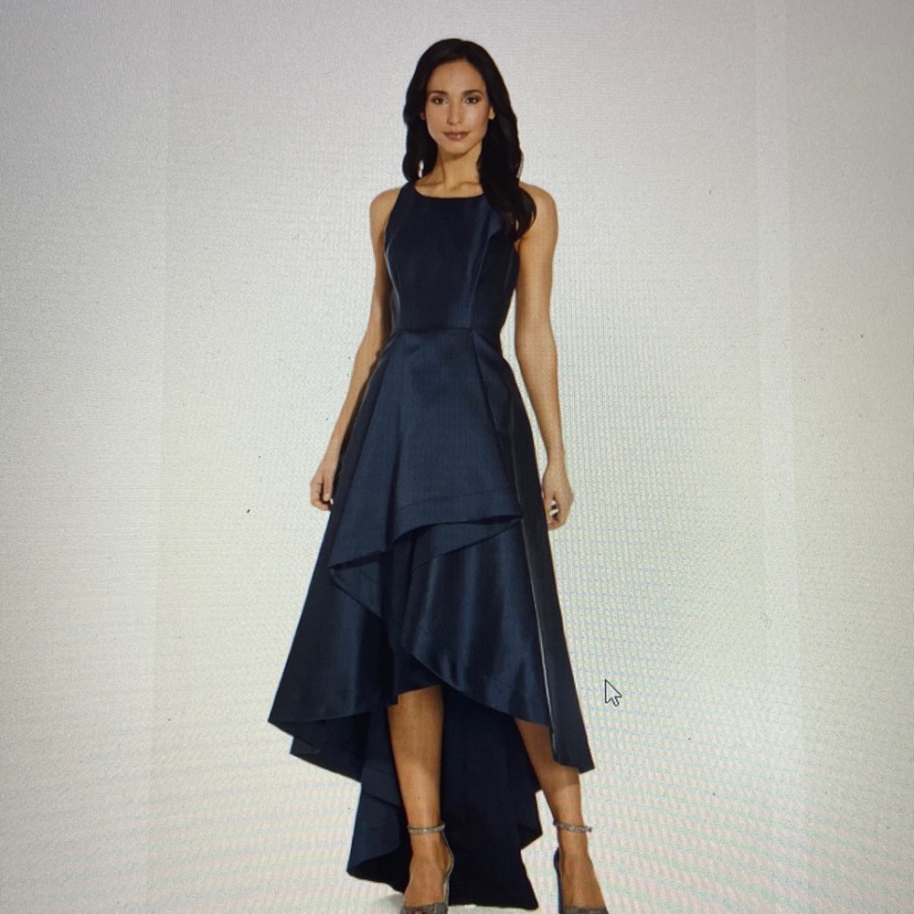 Adrianna Papell Formal dress NWT
